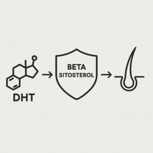 Beta Sitosterol Hair